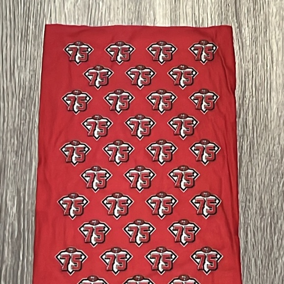 49ers 💝 10/$10 💝 San Francisco 49ers 75th Anniversary Fabric - Picture 2 of 7